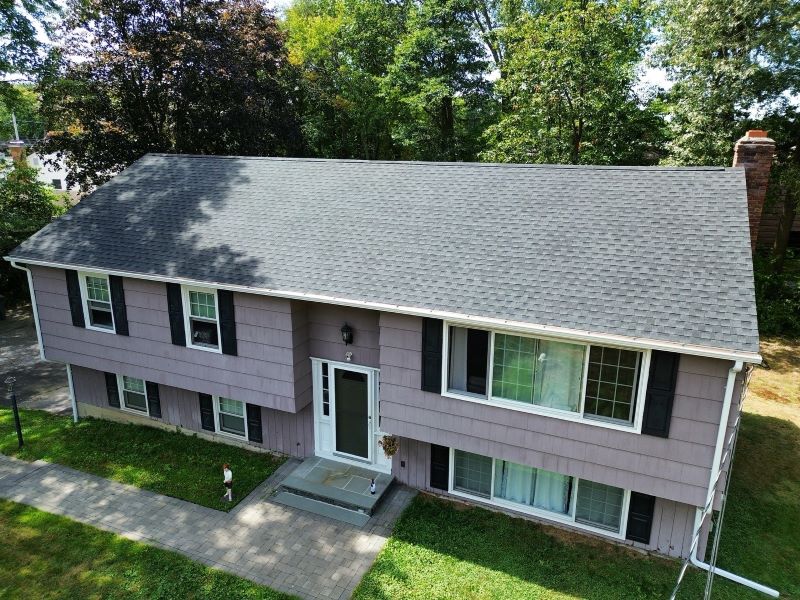 Professional Roofing Services